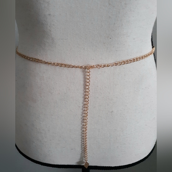 Sunshine Chain Belt Gold NWT - Picture 5 of 6